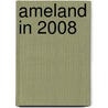 Ameland in 2008 by J. de Jong