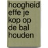 Hoogheid effe je kop op de bal houden