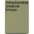 Mitochondrial creatine kinase