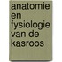 Anatomie en fysiologie van de kasroos