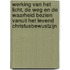 Werking van het licht, de weg en de waarheid bezien vanuit het levend christusbewustzijn