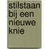 Stilstaan bij een nieuwe knie