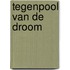 Tegenpool van de droom
