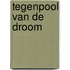 Tegenpool van de droom