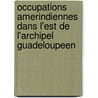 Occupations Amerindiennes dans l'Est de l'Archipel Guadeloupeen door M. de Waal