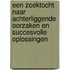 Een zoektocht naar achterliggende oorzaken en succesvolle oplossingen