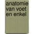 Anatomie van voet en enkel