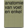 Anatomie van voet en enkel by Macminn