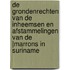 De Grondenrechten van de Inheemsen en afstammelingen van de |Marrons in Suriname