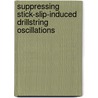Suppressing stick-slip-induced drillstring oscillations door L. van den Steen