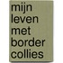 Mijn leven met Border Collies