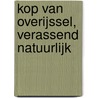 Kop van Overijssel, verassend natuurlijk by J. Janssen