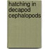Hatching in decapod cephalopods
