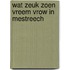 Wat zeuk zoen vreem vrow in Mestreech