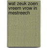 Wat zeuk zoen vreem vrow in Mestreech door S. Notten