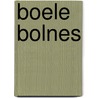 Boele Bolnes door J. van Beek