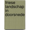 Friese landschap in doorsnede door Karstkarll
