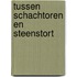 Tussen schachtoren en steenstort