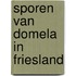 Sporen van Domela in Friesland