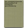 Een somatopsychosociale basishouding in de somatische gezondheidszorg by D.J. Birnie