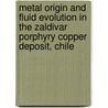 Metal origin and fluid evolution in the Zaldivar porphyry copper deposit, Chile by E.A. Campos-Sepulveda