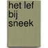 Het Lef bij Sneek