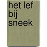 Het Lef bij Sneek door Onbekend