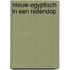 Nieuw-Egyptisch in een Notendop