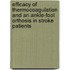Efficacy of thermocoagulation and an ankle-foot orthosis in stroke patients