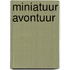 Miniatuur Avontuur