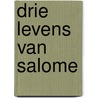 Drie levens van salome door Yves Geerts