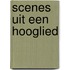 Scenes uit een hooglied