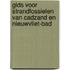 Gids voor strandfossielen van Cadzand en Nieuwvliet-Bad