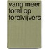 Vang meer Forel op Forelvijvers