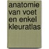 Anatomie van voet en enkel kleuratlas