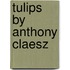 Tulips by anthony claesz