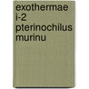 Exothermae i-2 pterinochilus murinu by Charpentier