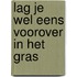 Lag je wel eens voorover in het gras