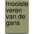 Mooiste veren van de gans