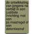 De ontwikkeling van jongens na verblijf in een justitiele inrichting met een PIJ-maatregel of een detentiestraf