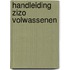 Handleiding zizo volwassenen