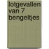 Lotgevallen van 7 bengeltjes
