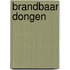 Brandbaar Dongen