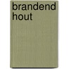 Brandend hout by P. vanden Berghe
