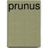 Prunus