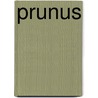 Prunus by B.J. Giesen