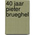 40 jaar Pieter Brueghel
