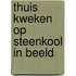 Thuis kweken op steenkool in beeld