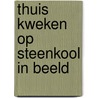 Thuis kweken op steenkool in beeld by Unknown