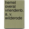 Hemel overal vriendenb. a. v. wilderode by Unknown
